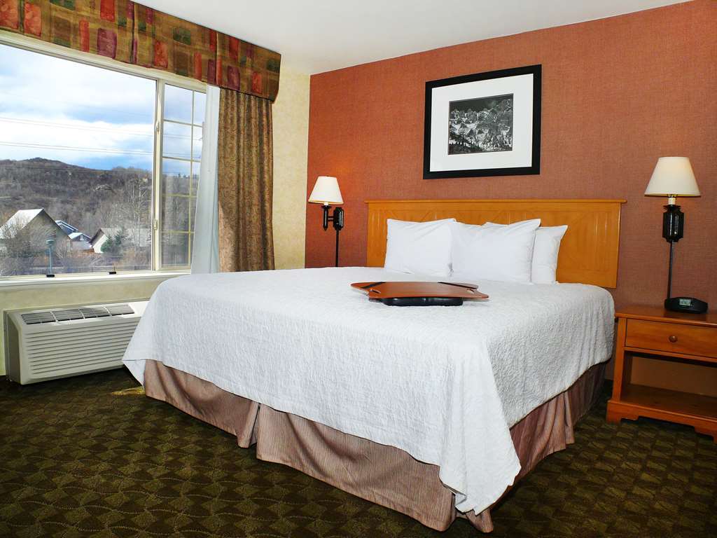 Hampton Inn & Suites Steamboat Springs Oda fotoğraf